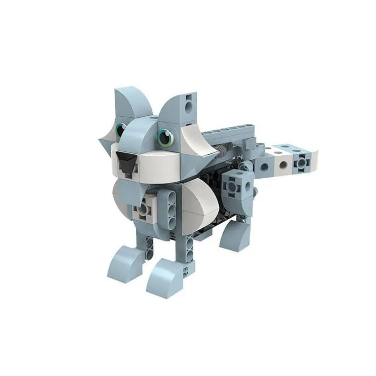 Kids First: Robot Safari - Introduction to Motorized Machines