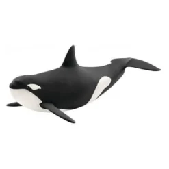 Killer Whale