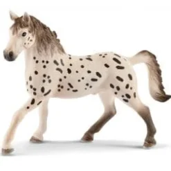 Knabstrupper Stallion