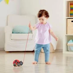 Ladybug Pull Along