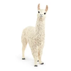 Llama