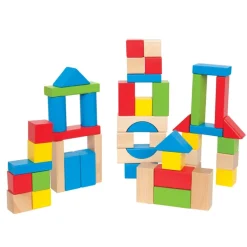 Maple Blocks - 50 Pieces