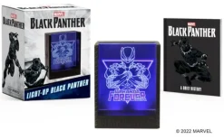 Marvel: Light-Up Black Panther