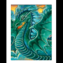 Mini Card Enclosures