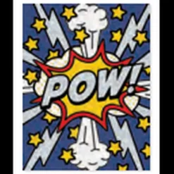 Mini Card Enclosures