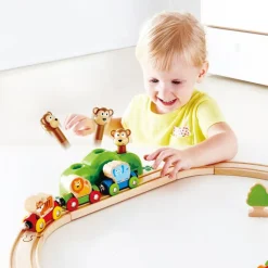 Music and Monkeys Railway