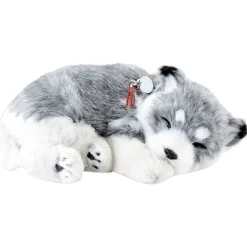 Perfect Petzzz Alaskan Husky