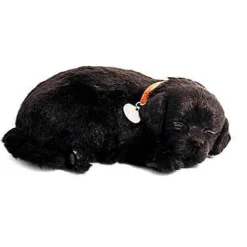 Perfect Petzzz Black Lab