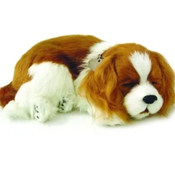 Perfect Petzzz Cavalier King Charles