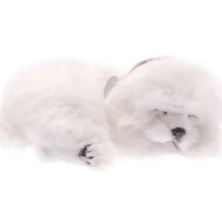 Perfect Petzzz Maltese