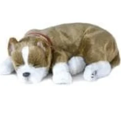 Perfect Petzzz Pit Bull