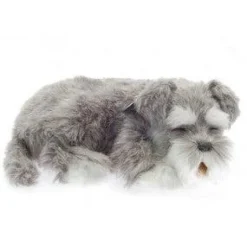 Perfect Petzzz Schnauzer
