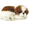 Perfect Petzzz Shih Tzu