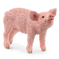 Piglet