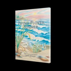 Piping Plover Summer