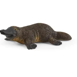 Platypus
