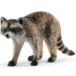 Raccoon