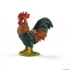 Rooster