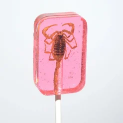 Scorpion Suckers Assorted Flavors