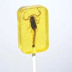 Scorpion Suckers Assorted Flavors