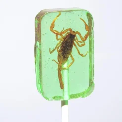Scorpion Suckers Assorted Flavors