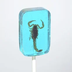 Scorpion Suckers Assorted Flavors