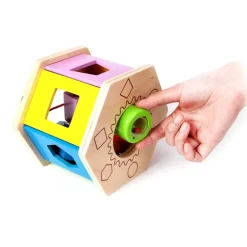 Shake and Match Shape Sorter