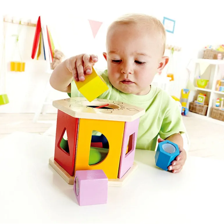 Shake and Match Shape Sorter