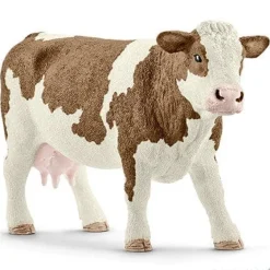 Simmental Cow