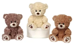 9.5” Sitting Paw Print Bears Assorted Styles