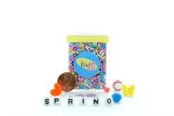 Spring Mini - Find and Seek Scavenger Hunt