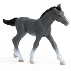 Trakehner Foal