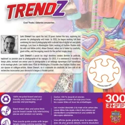 Trendz - Cool Treats - 300 Piece EzGrip Puzzle