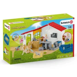 Vet Practice With Pets