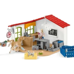 Vet Practice With Pets