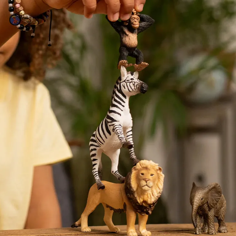 Wild Life Africa Starter Set