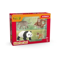 Wild Life Asia Starter Set