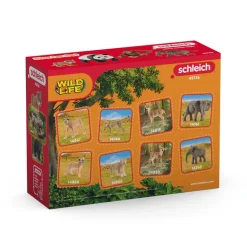Wild Life Asia Starter Set