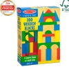 100 Wooden Blocks