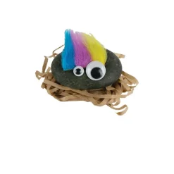 World’s Smallest Pet Rock