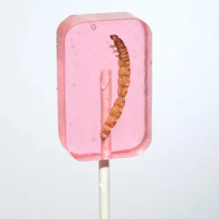 Worm Suckers Assorted Flavors