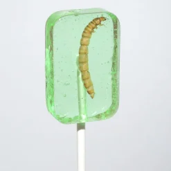 Worm Suckers Assorted Flavors